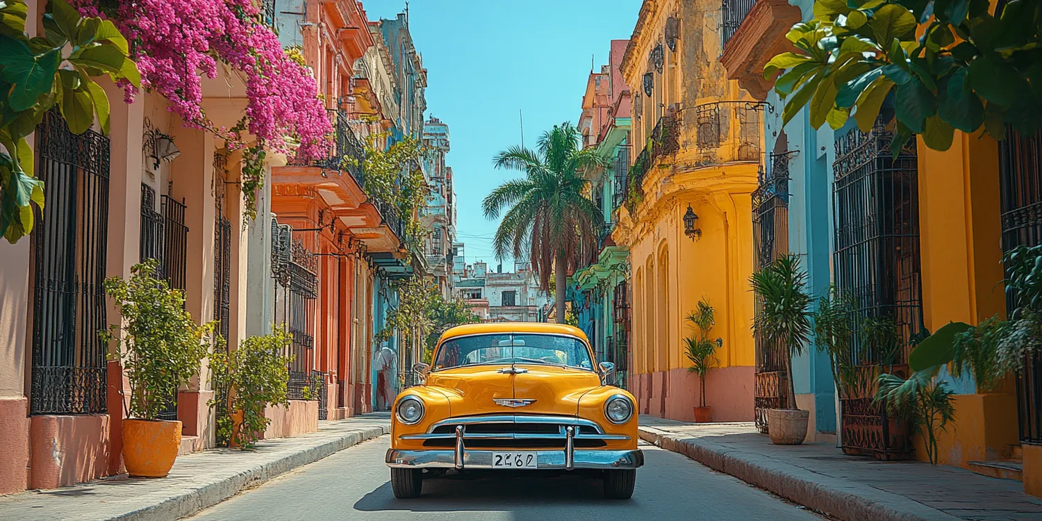 Jak wyprać wykładzinę samochodową?