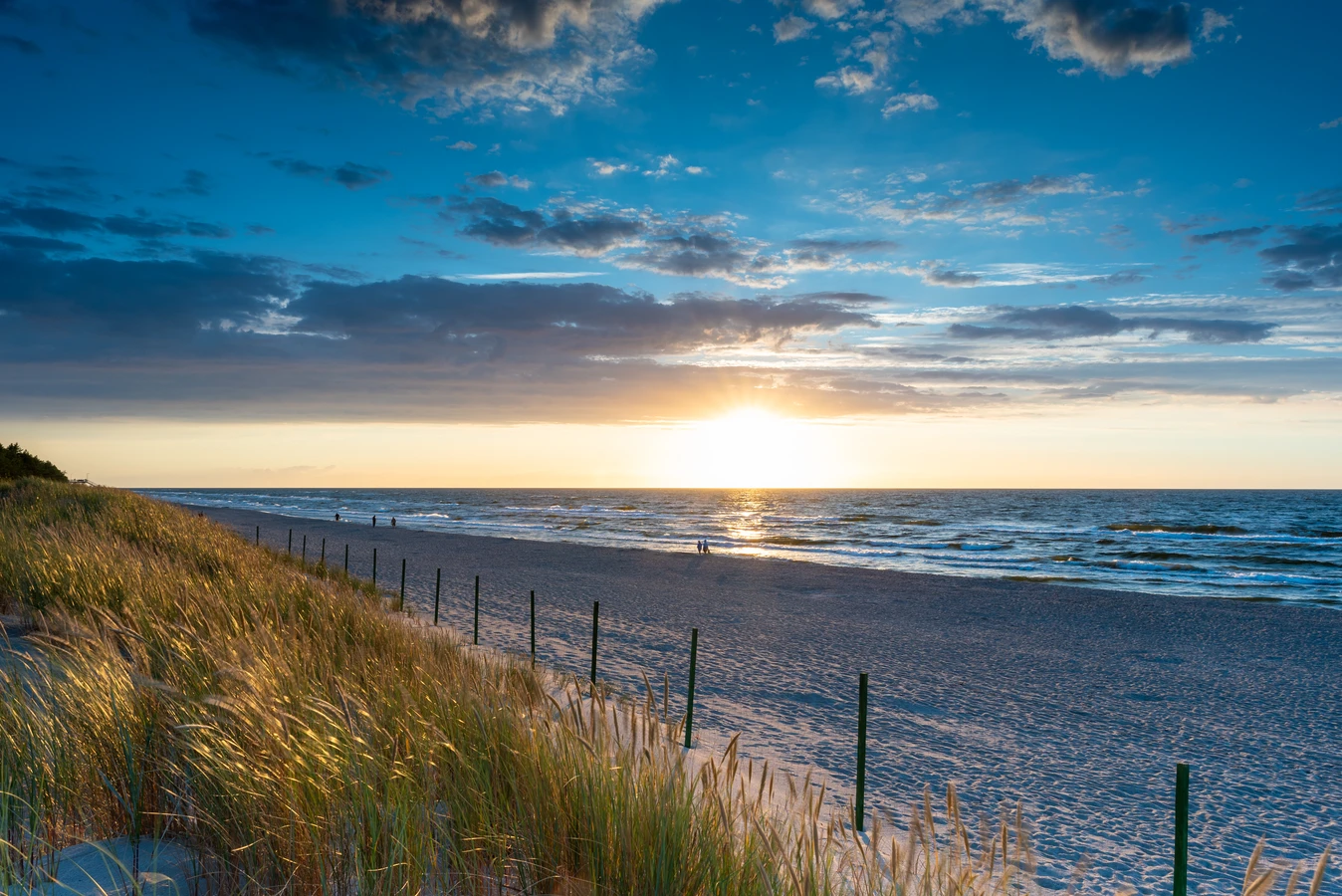 Trawa z rolki gdzie kupić?