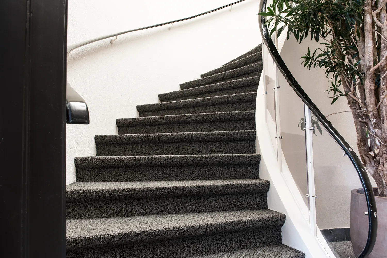 Ile kosztuje pranie dywanów?