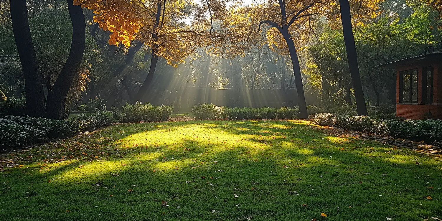 Trawa z rolki Szczecin