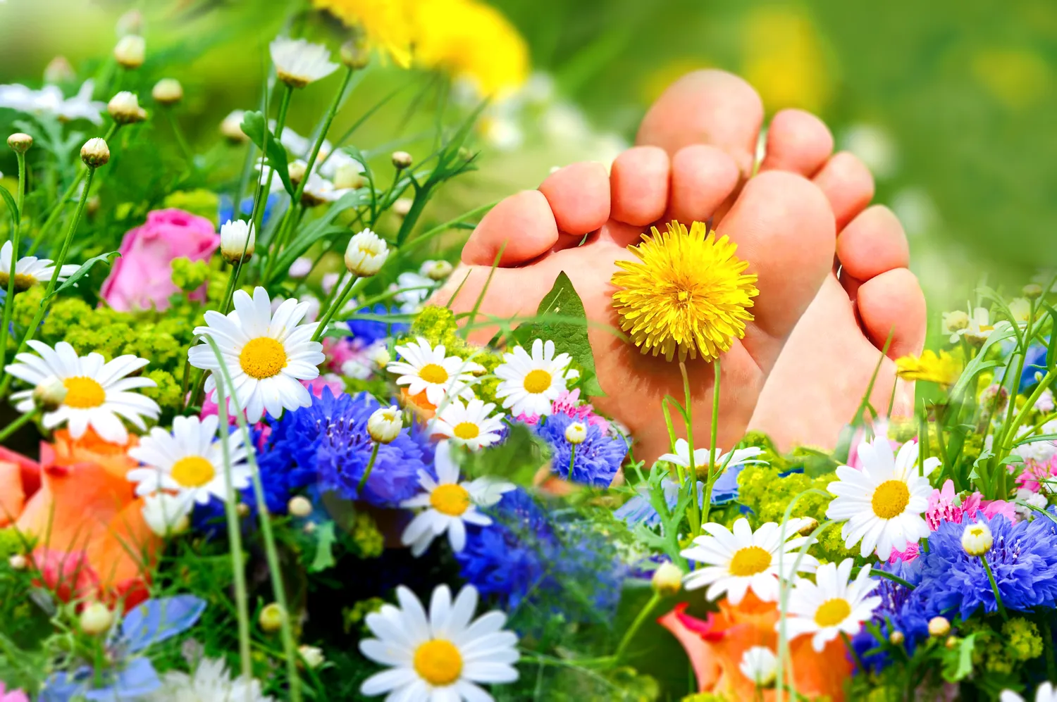 Kim jest podolog i kiedy należy go odwiedzić? 