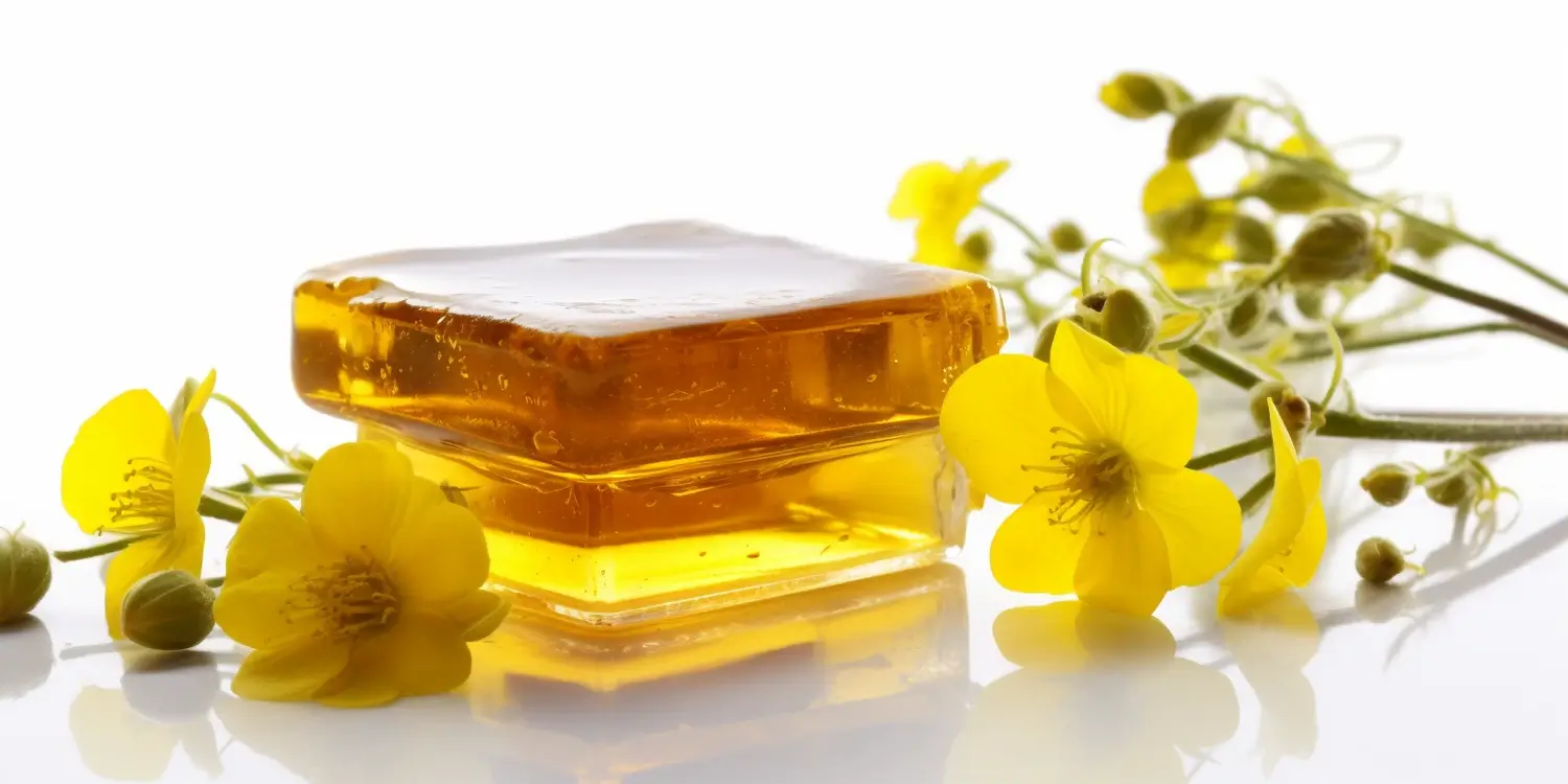 Skąd się biorą matki pszczele?