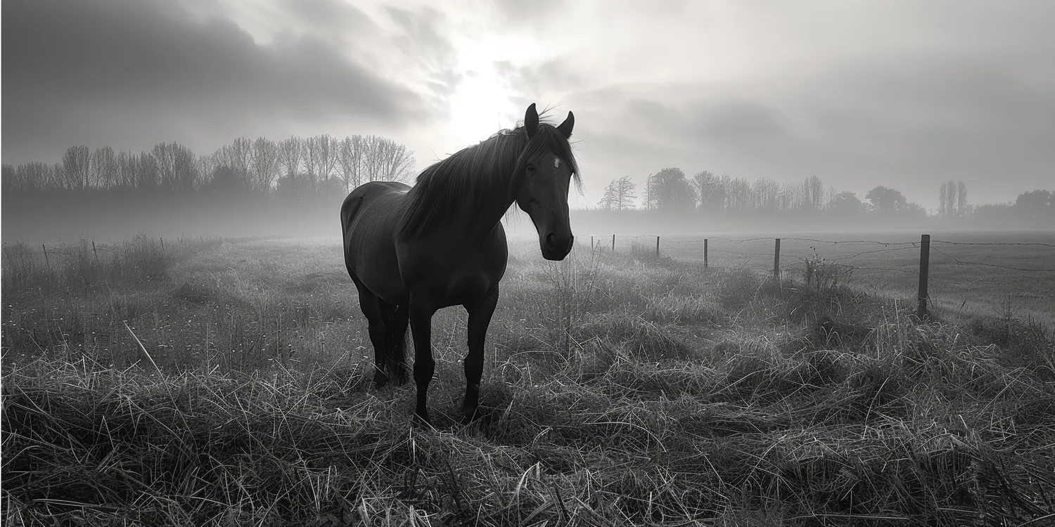 Indywidualna kremacja zwierzaka