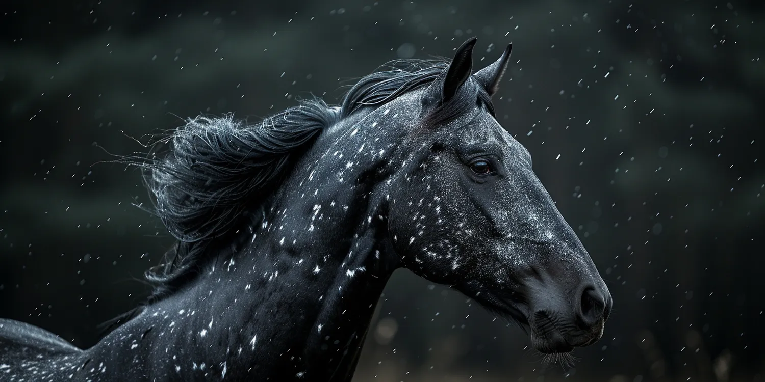 Jak godnie pożegnać się ze swoim zwierzęcym pupilem?