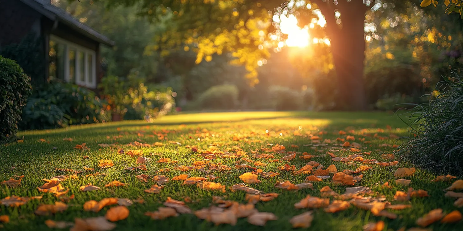 Jak zrobić ogród w szkle?